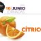 Programa Jornada Agrícola Café Cítricos. Valencia, 10-06-2016