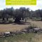 Estudio de las características cualitativas de los aceites de oliva virgen de la Comunitat Valenciana